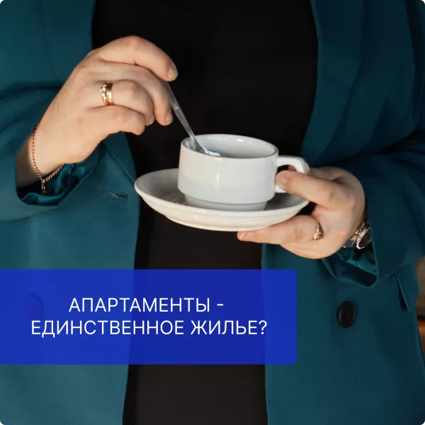 Апартаменты - единственное жилье?